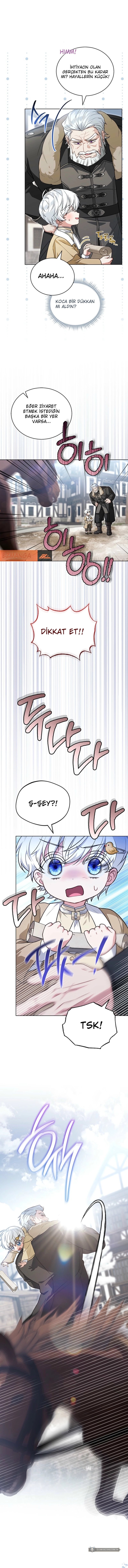 Chapter 16 - Image 11