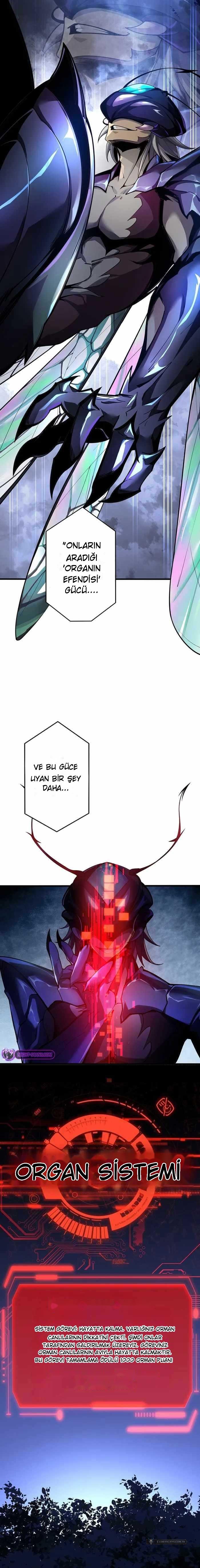 Chapter 2 - Image 9