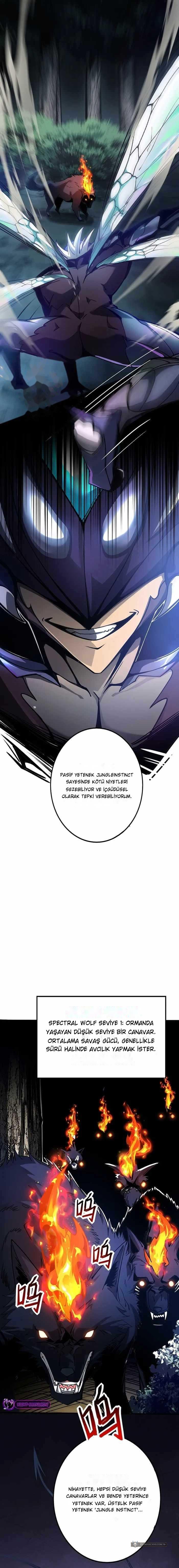 Chapter 2 - Image 11