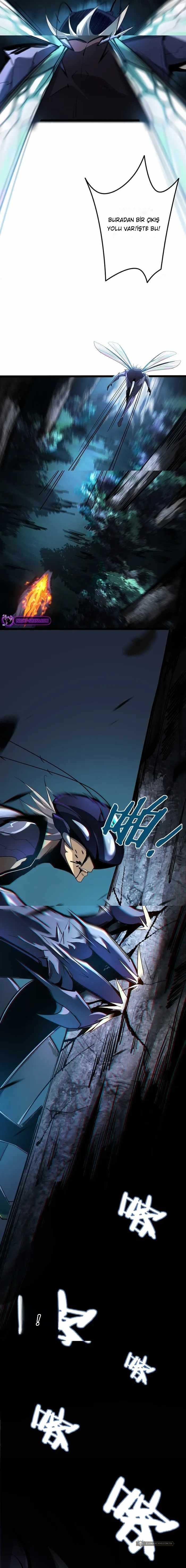 Chapter 3 - Image 8