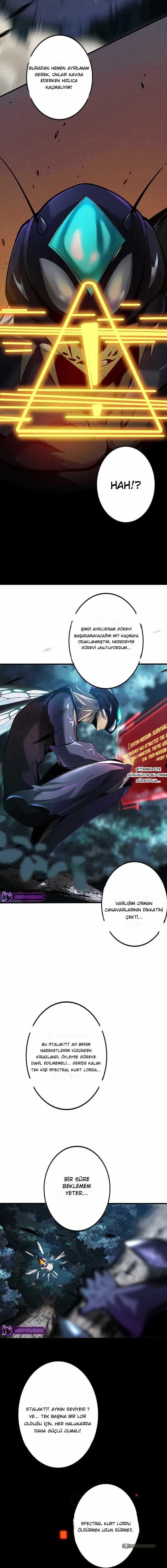 Chapter 3 - Image 11