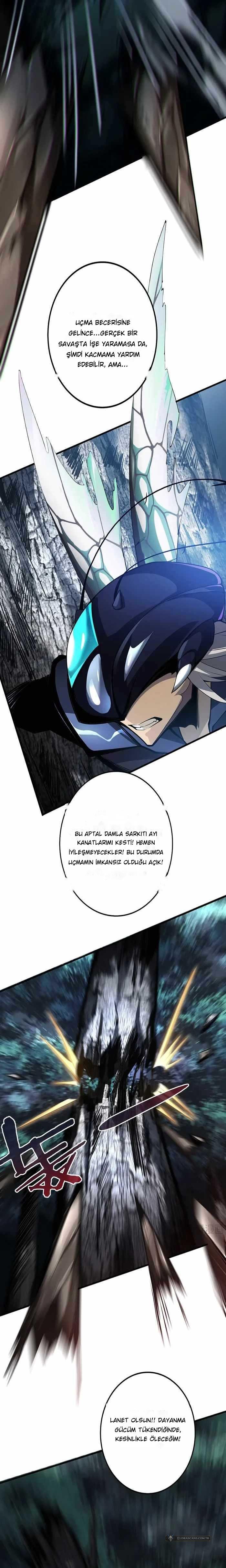 Chapter 3 - Image 17