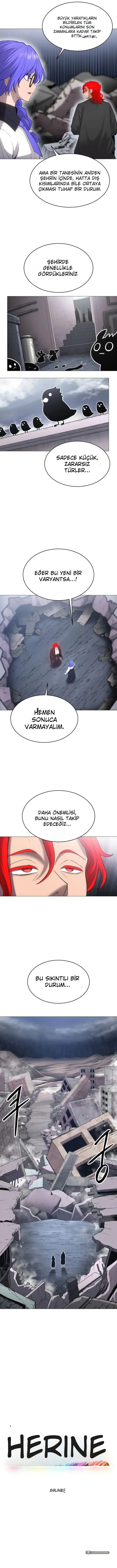 Chapter 2 - Image 4