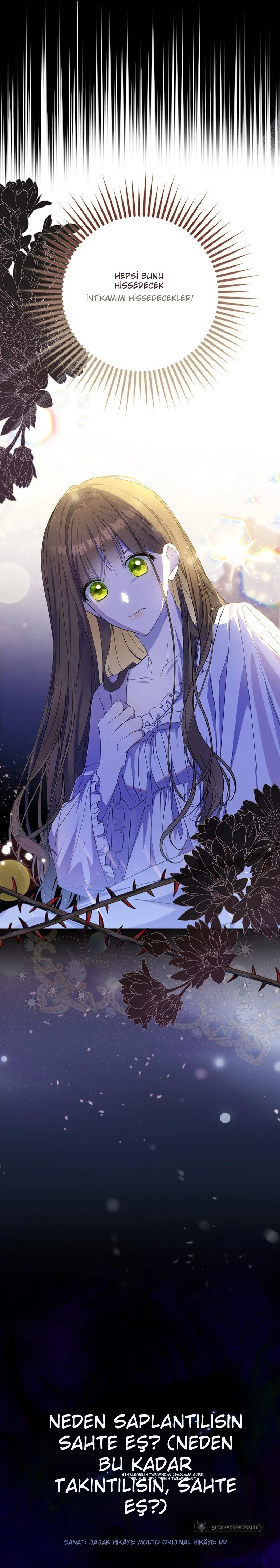 Chapter 2 - Image 11