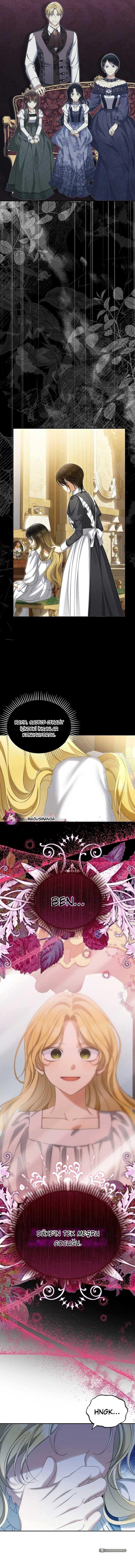 Chapter 52 - Image 11