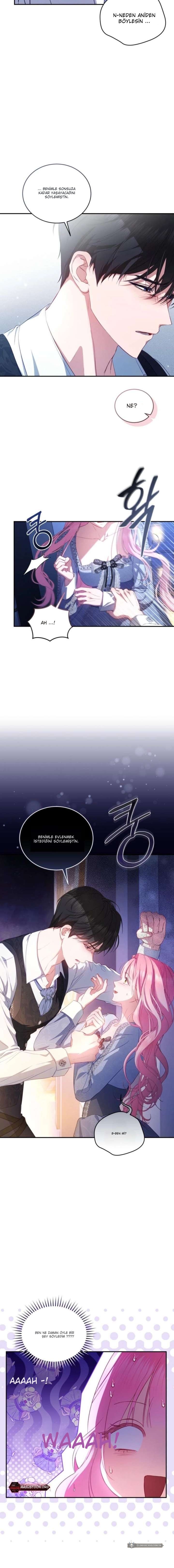 Chapter 1 - Image 5