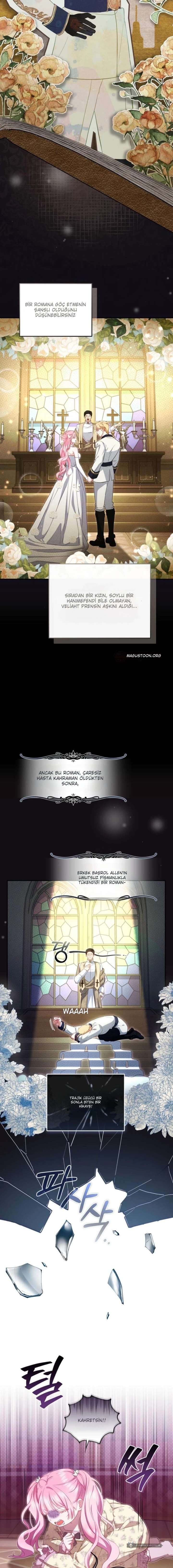 Chapter 1 - Image 11