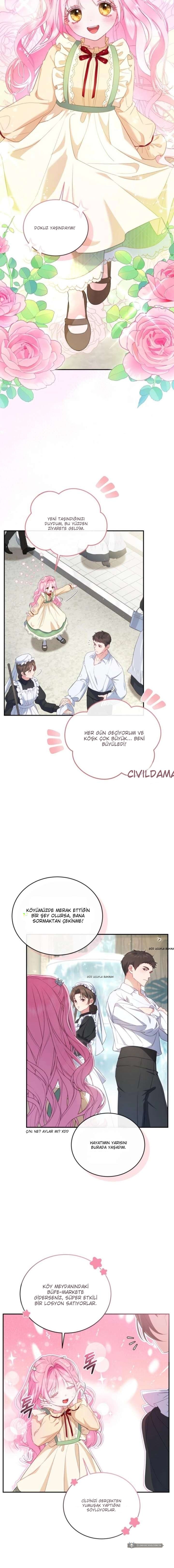 Chapter 1 - Image 19