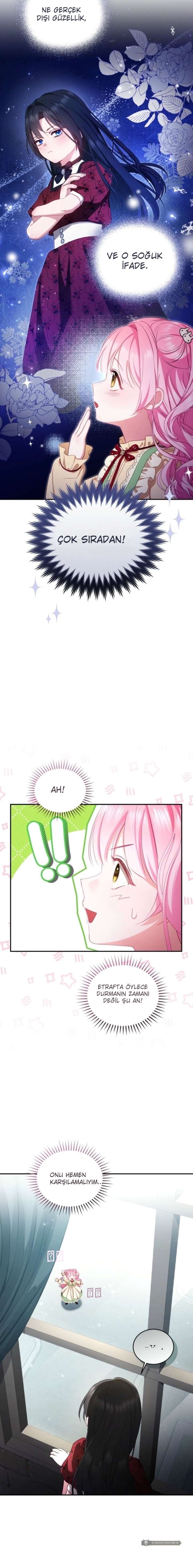 Chapter 2 - Image 2
