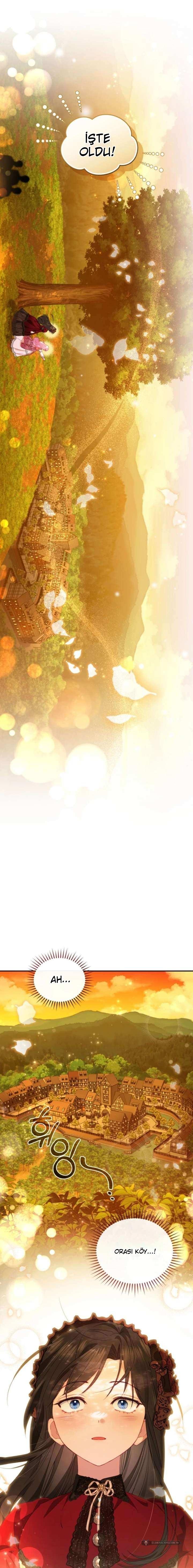 Chapter 5 - Image 5