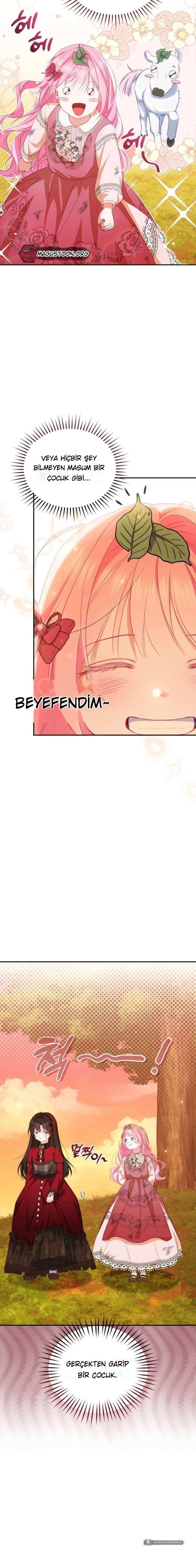 Chapter 5 - Image 10
