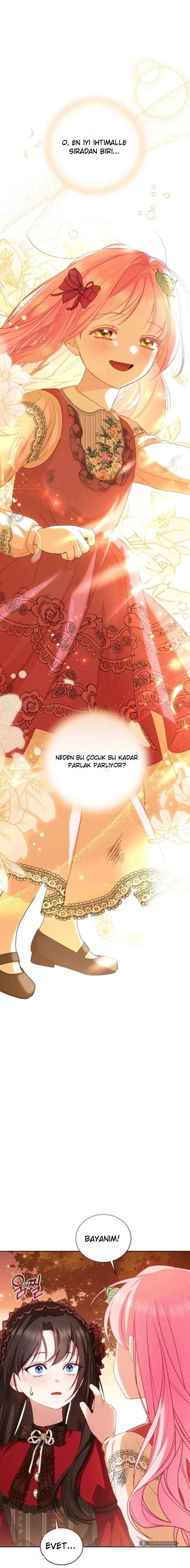 Chapter 5 - Image 14