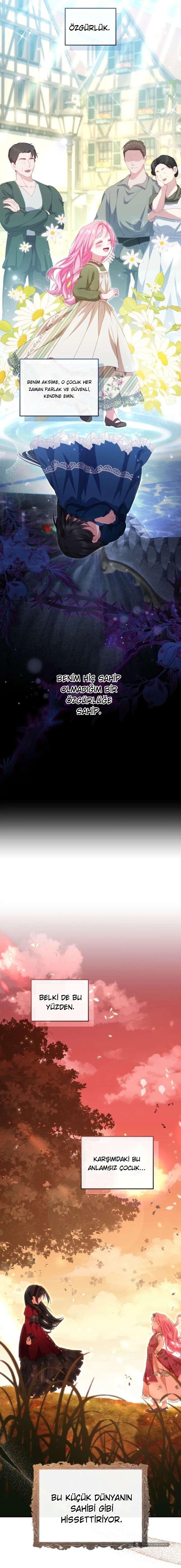 Chapter 5 - Image 16