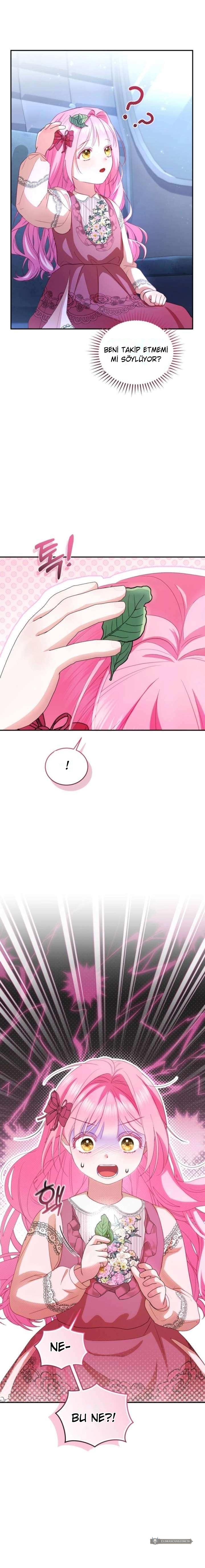 Chapter 5 - Image 20