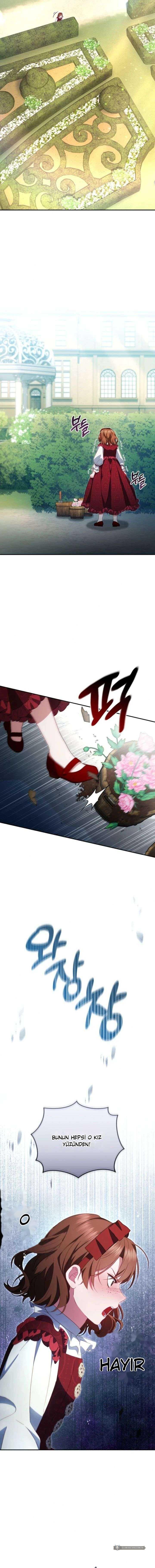 Chapter 7 - Image 5