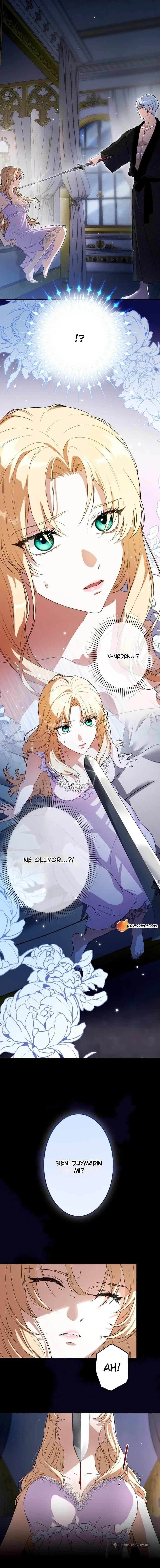 Chapter 1 - Image 2