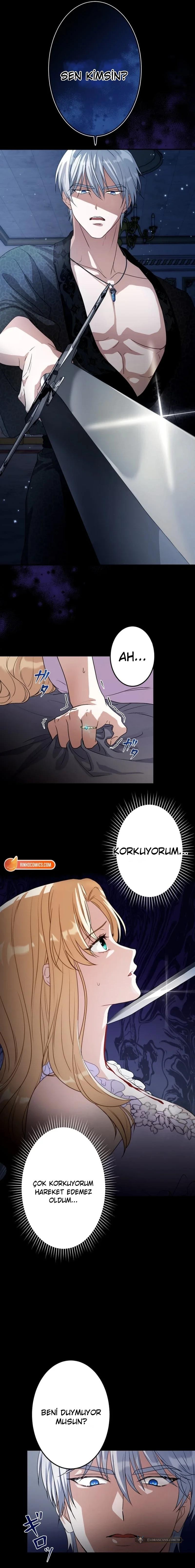 Chapter 1 - Image 3