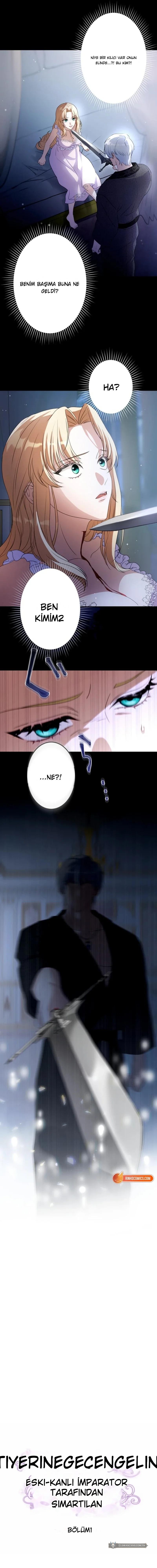 Chapter 1 - Image 4