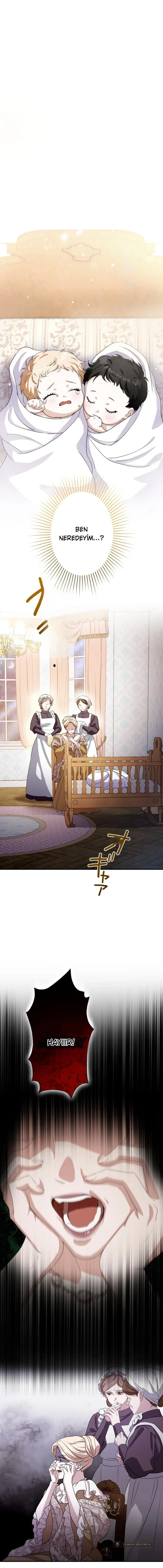Chapter 1 - Image 5