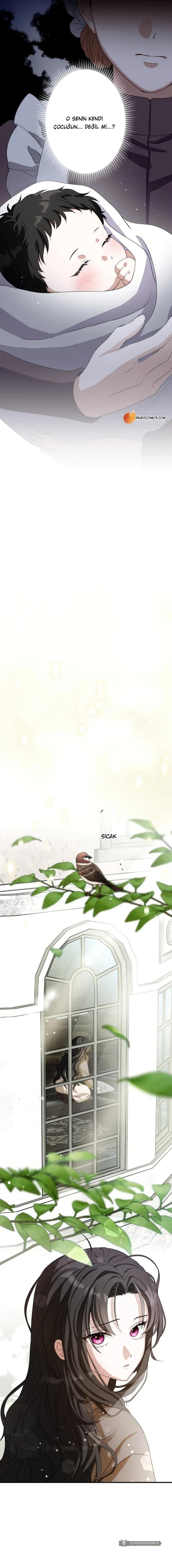 Chapter 1 - Image 8