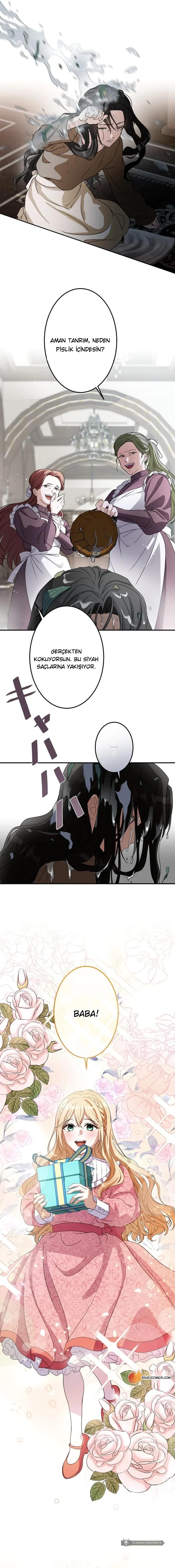 Chapter 1 - Image 9