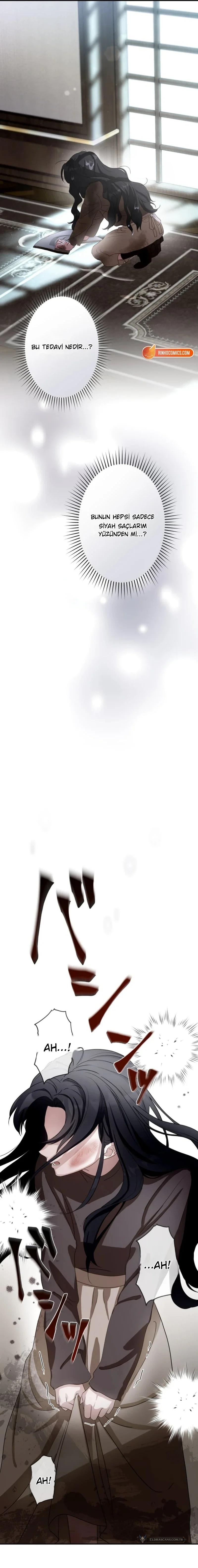Chapter 1 - Image 11