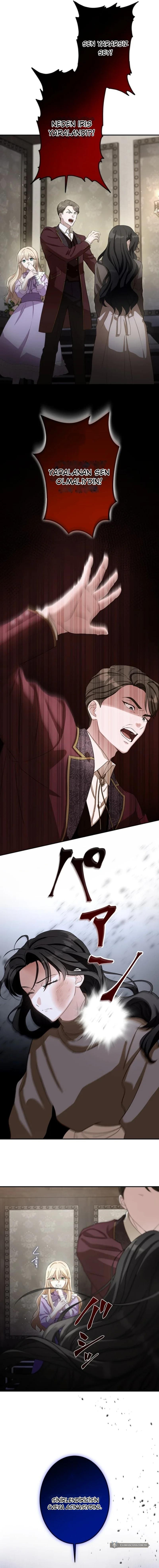 Chapter 1 - Image 12