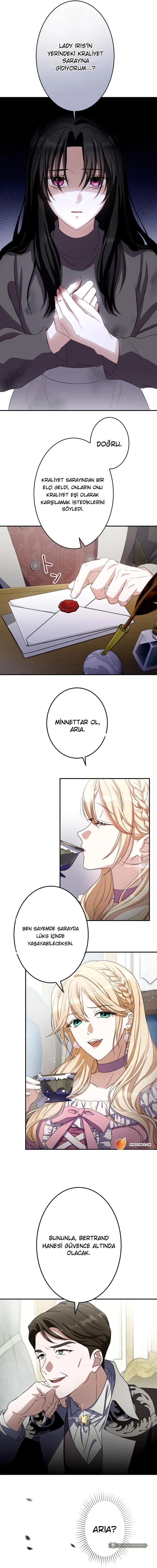 Chapter 1 - Image 14