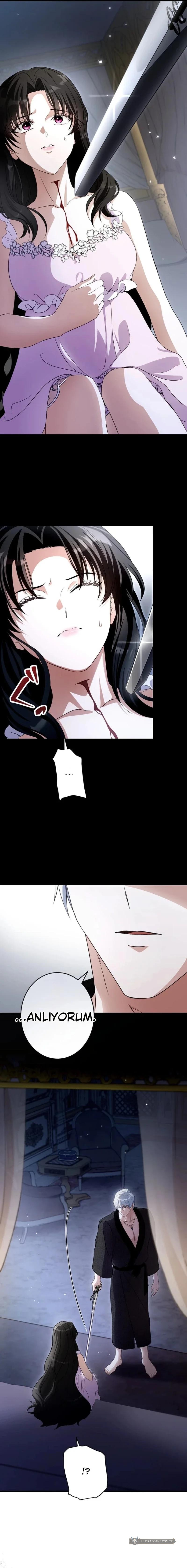 Chapter 2 - Image 2