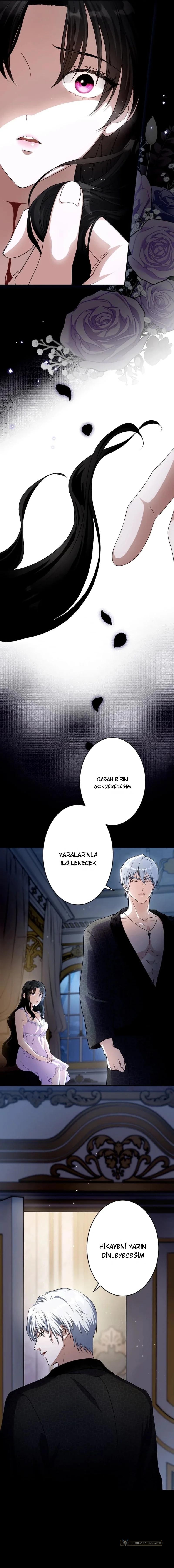 Chapter 2 - Image 4