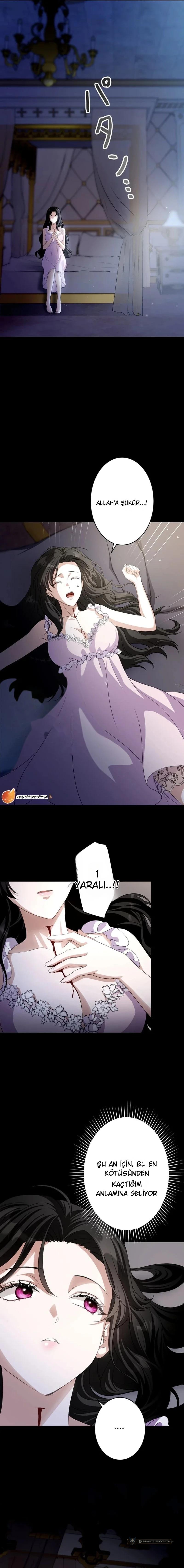 Chapter 2 - Image 5