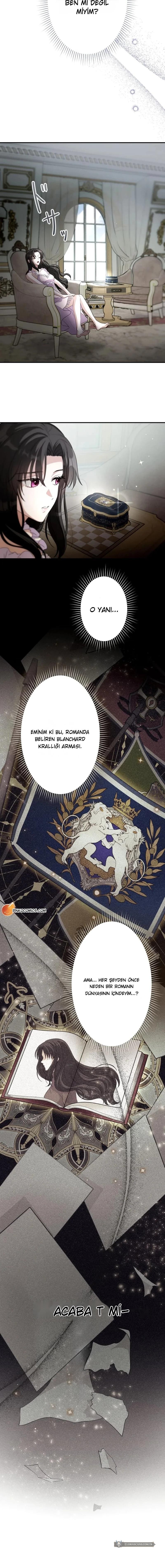 Chapter 2 - Image 8