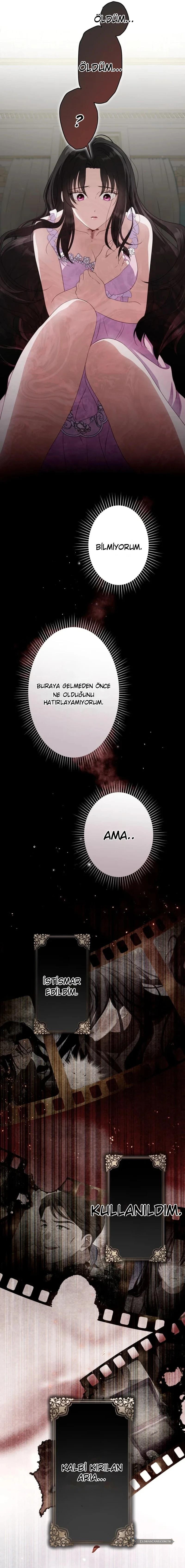 Chapter 2 - Image 9