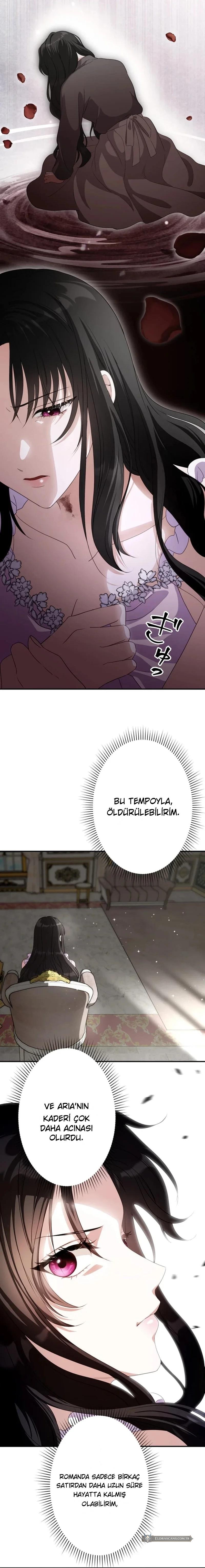 Chapter 2 - Image 10