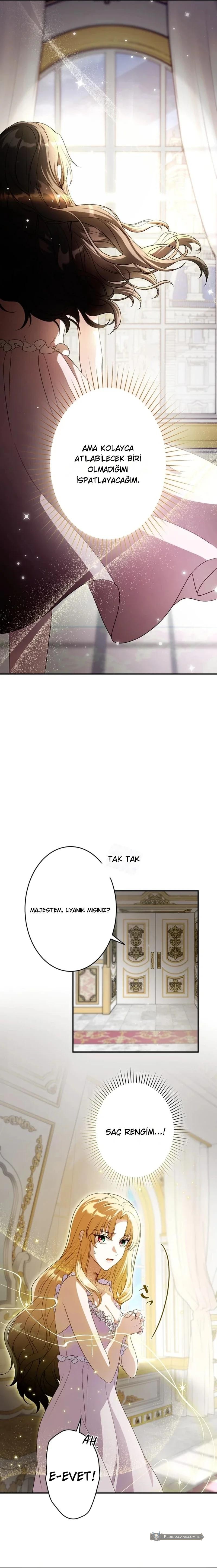 Chapter 2 - Image 11