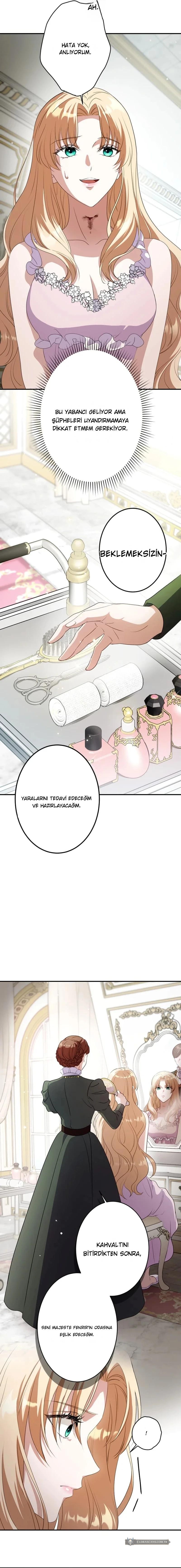 Chapter 2 - Image 13