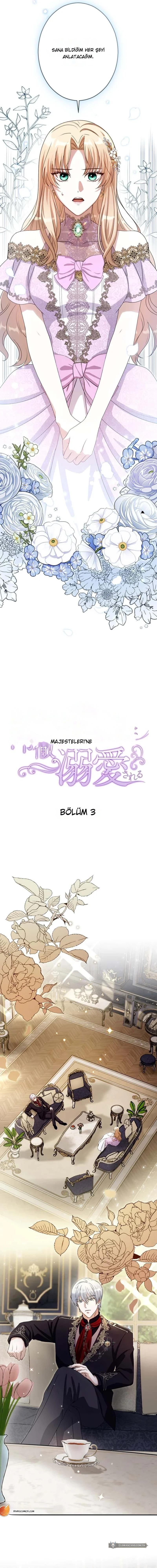 Chapter 3 - Image 4