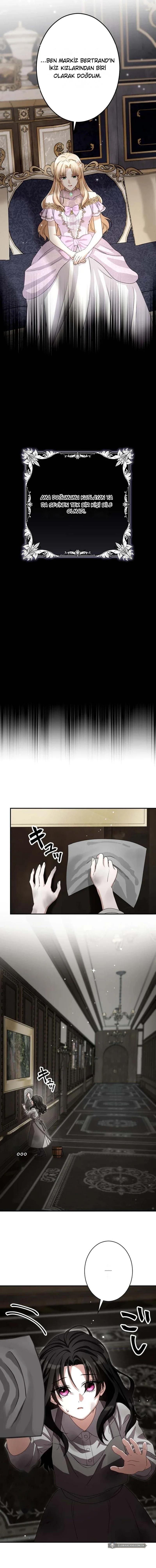 Chapter 3 - Image 5