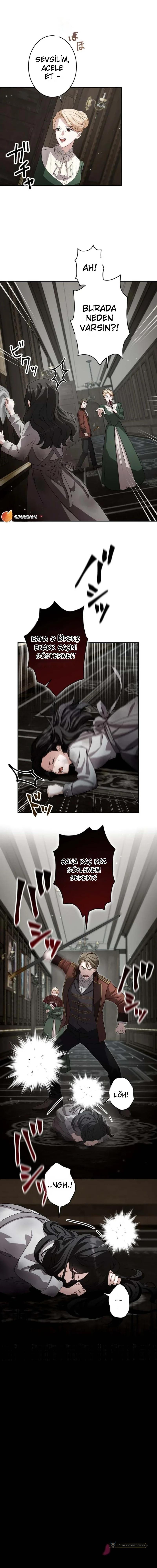 Chapter 3 - Image 6