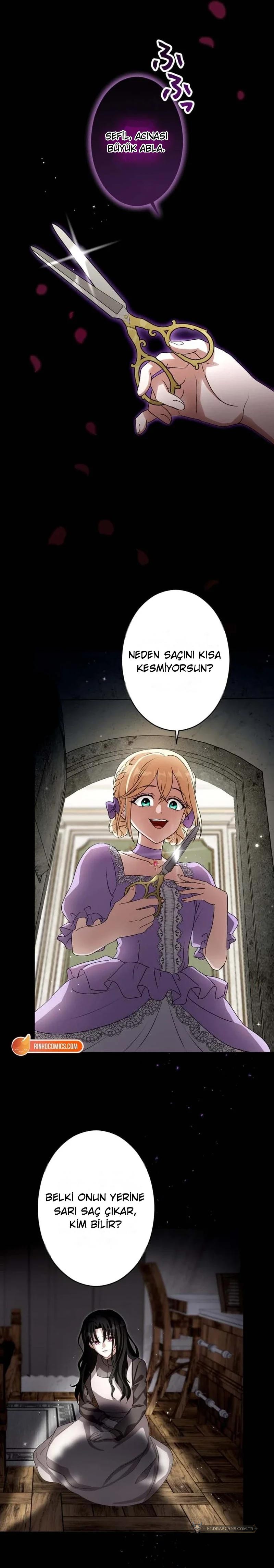 Chapter 3 - Image 7