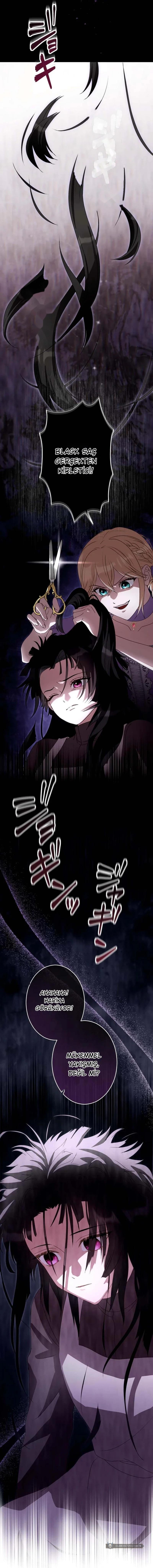Chapter 3 - Image 8