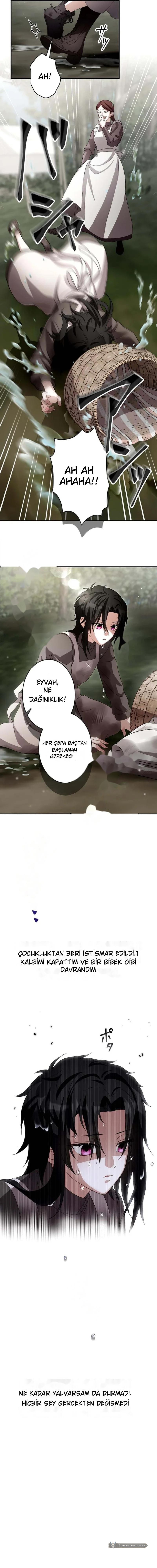 Chapter 3 - Image 10