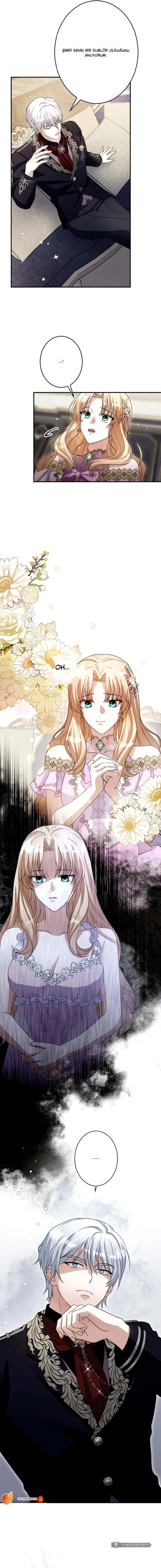 Chapter 3 - Image 15