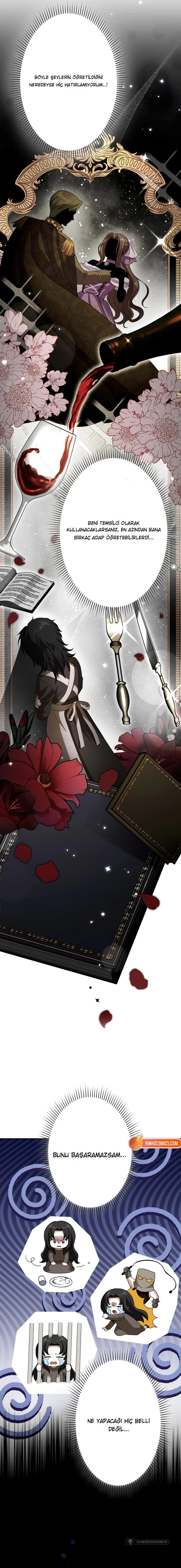Chapter 4 - Image 3