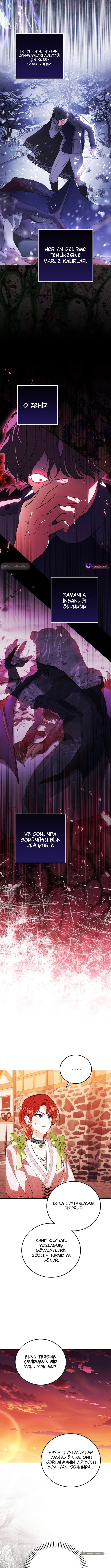 Chapter 29 - Image 2