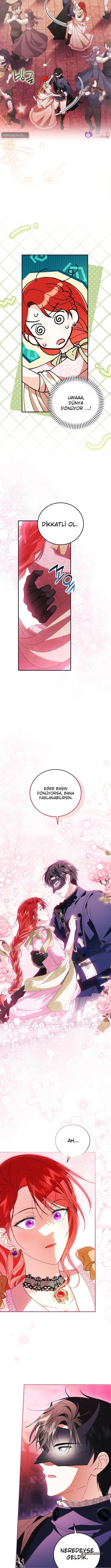 Chapter 29 - Image 7