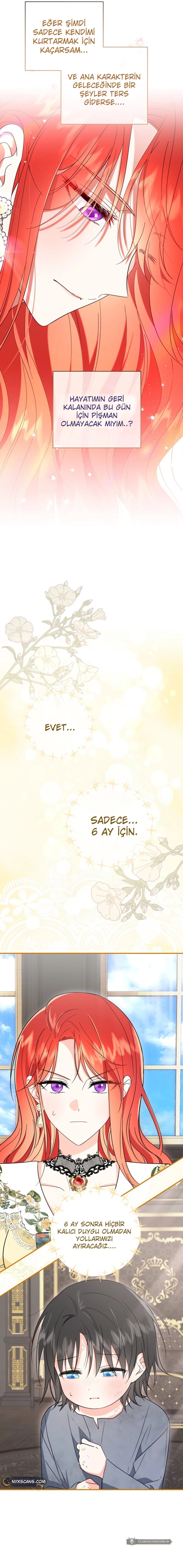 Chapter 3 - Image 10