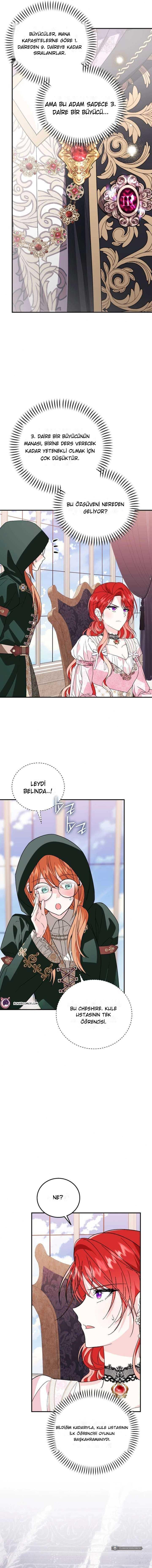 Chapter 33 - Image 6