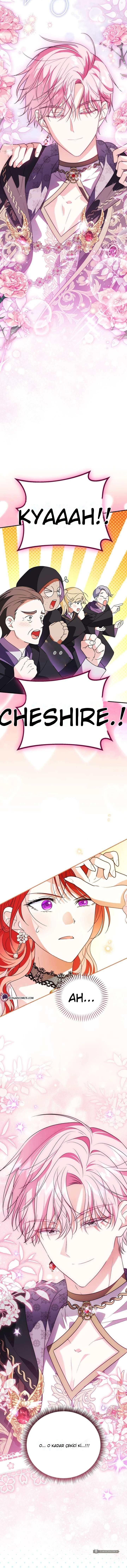 Chapter 33 - Image 8