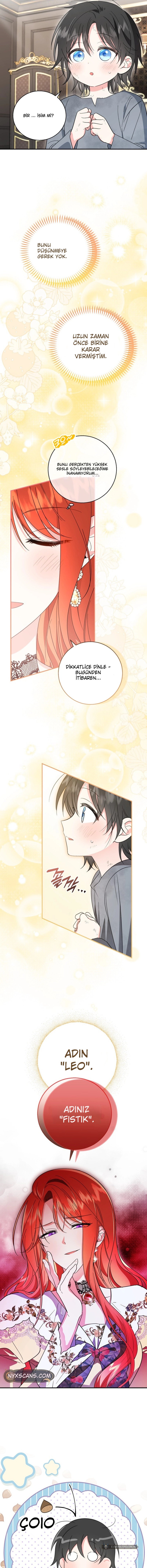 Chapter 4 - Image 4